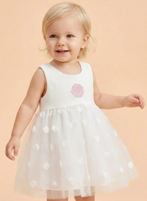 Dress Shiffon